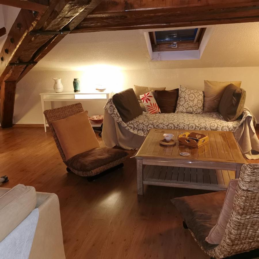 Cosy And Calm In Grenoble City Heart With Free And Large Parking Q-Park Chavant エクステリア 写真